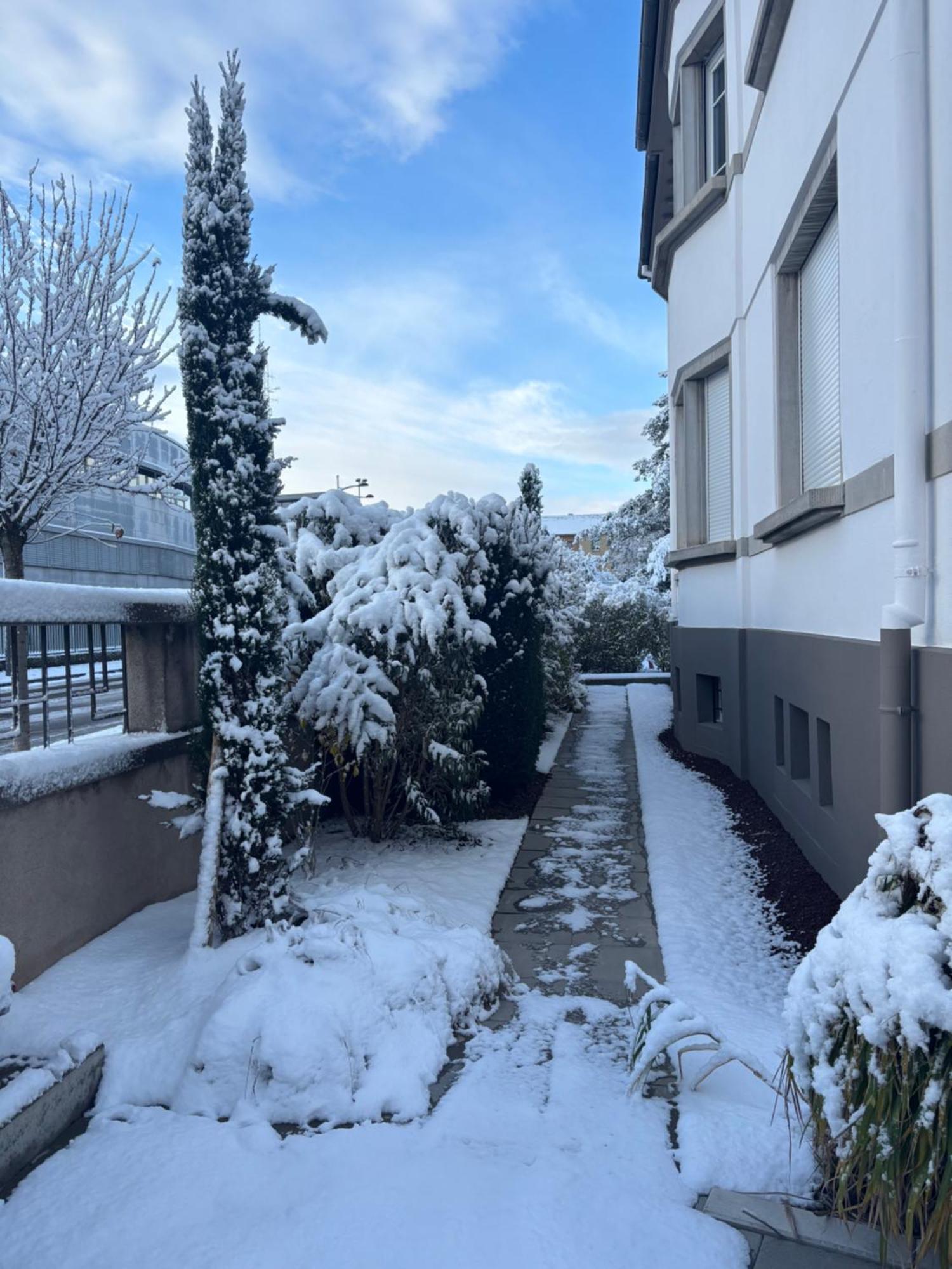 Superbe appartement au centre + parking privé Colmar Extérieur photo